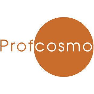 Дзен Красота с Profcosmo статистика