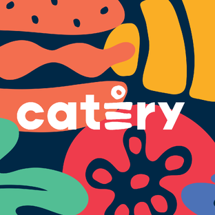 Статистика Дзен Catery.ru