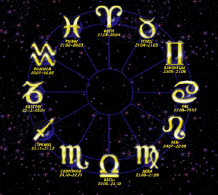Дзен Тайна вашего имени ♌ статистика