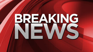Дзен BREAKING NEWS статистика
