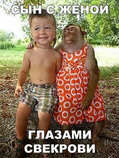 Дзен ВЕСЕЛЫЕ КАРТИНКИ статистика