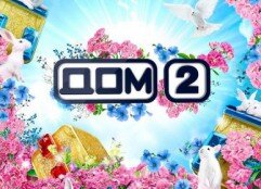 Дзен Свежие новости "Дом 2" статистика
