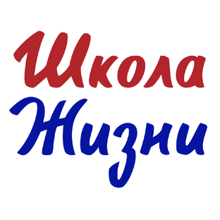 Статистика Дзен Школа Жизни