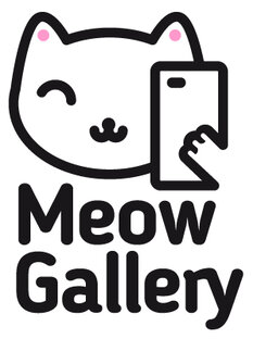 Дзен Meow gallery статистика