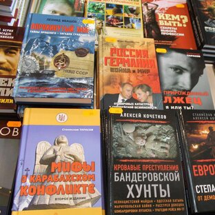 Дзен Политическое братство статистика