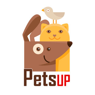 Дзен PETSUP  статистика
