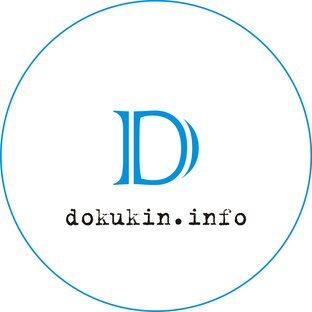 Дзен dokukin.info статистика