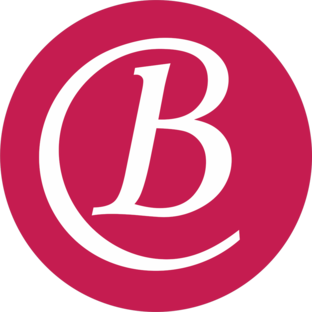 Статистика Дзен Business Class