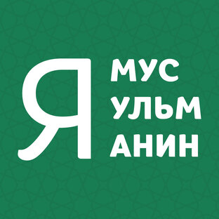 Дзен Я МУСУЛЬМАНИН статистика