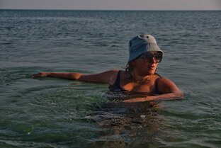 Статистика Дзен Удивительная жизнь