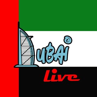 Дзен DUBAI LIVE статистика