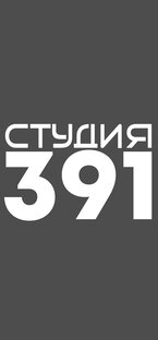 Дзен Студия 391 статистика