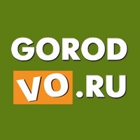 Статистика Дзен gorodvo.ru