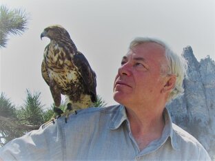 Статистика Дзен Мир удивительный и загадочный