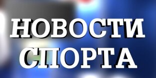 Дзен Новости спорта. статистика