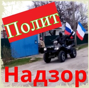 Дзен ПолитНадзор статистика