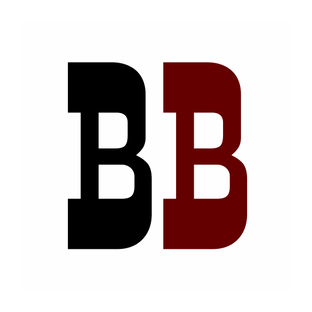 Статистика Дзен Вечерние ведомости