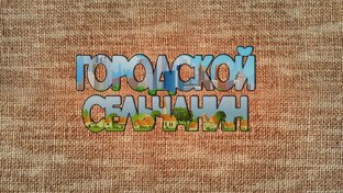 Дзен Городской сельчанин статистика