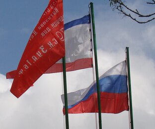 Дзен Портал в правду статистика