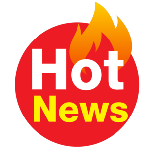 Дзен TurkNews статистика