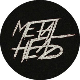 Дзен MetalHead News статистика