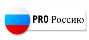 Дзен ProРоссию статистика