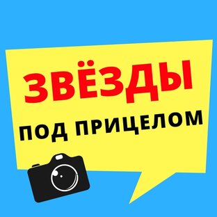 Дзен ЗВЁЗДЫ ПОД ПРИЦЕЛОМ статистика