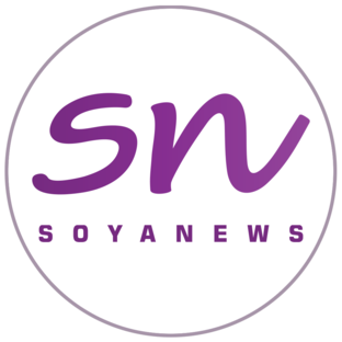 Статистика Дзен SoyaNews