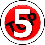 Дзен ТОп5 статистика
