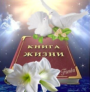 Дзен книга  жизни статистика