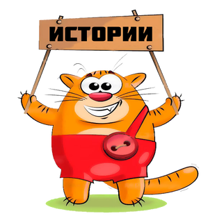 Дзен Истории статистика