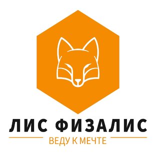 Дзен ЛИС ФИЗАЛИС ТАРОЛОГ статистика