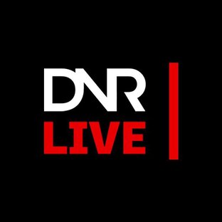 Дзен DNR LIVE статистика