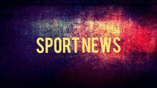 Дзен Sport News статистика