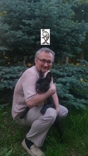 Статистика Дзен КИТ Зерноград