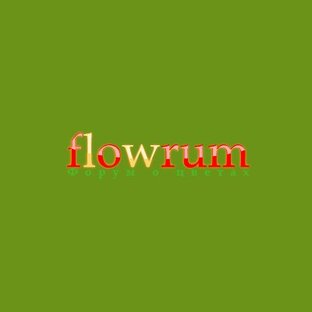 Дзен flowrum.ru - цветоводство статистика