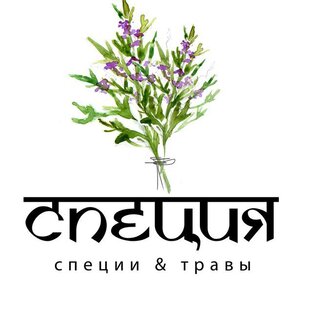 Дзен МАГИЯ ТРАВ статистика