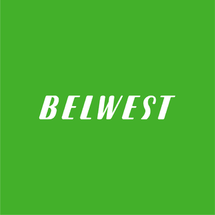Статистика Дзен BELWEST