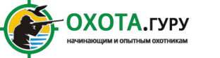 Дзен ohota.guru статистика
