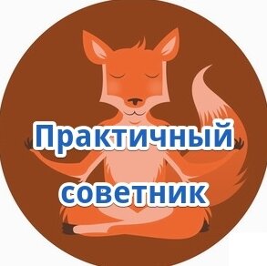 Дзен Практичный советник статистика