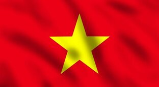 Яндекс дзен Ринат из Вьетнама статистика