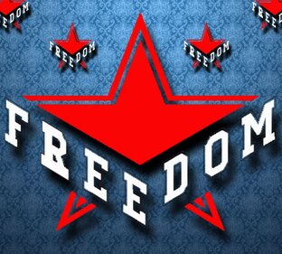 Статистика Дзен Группа поддержки Freedom