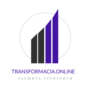 Дзен Transformacia.online статистика