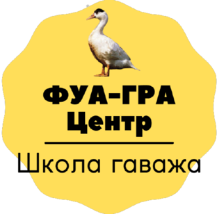 Статистика Дзен ФУА-ГРА Центр | Школа гаважа