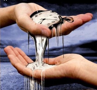 Дзен  Майя Новак статистика