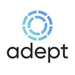 Дзен Adept. Образование статистика