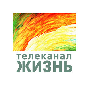 Статистика Дзен Телеканал ЖИЗНЬ