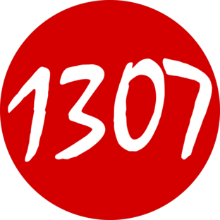 Дзен 1307 статистика