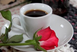 Дзен За чашкой чая статистика
