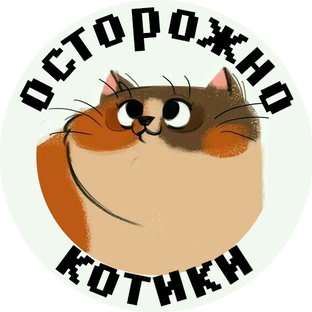 Дзен Осторожно - котики! статистика